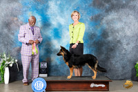 Bohemian Shepherd #6 Sun BIO Judge Eugene Blake