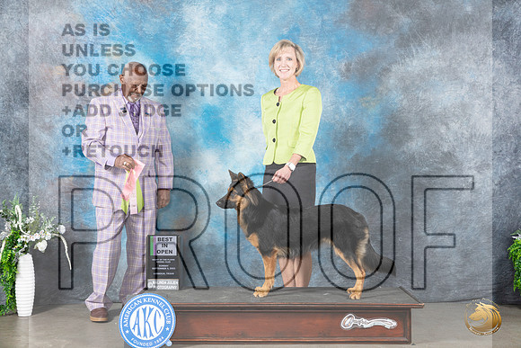 Bohemian Shepherd #6 Sun BIO Judge Eugene Blake_JP_2293_Lubbock2023_HR3