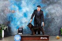Boykin #5 Sun G4 Judge Gloria Kerr