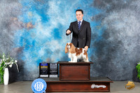 Cavalier King Charles Spaniel #18 Sun BOBGH Judge Gloria Kerr
