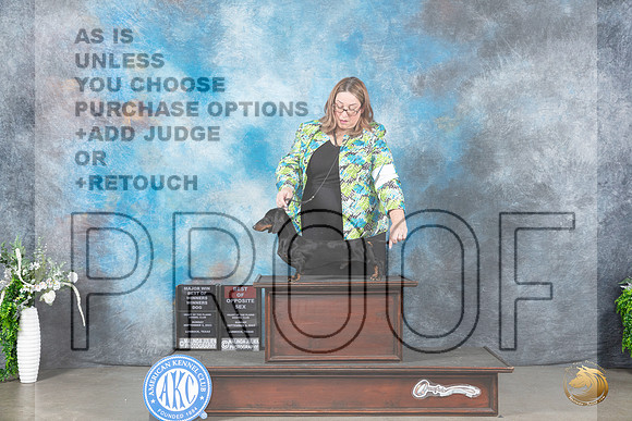 Dachshund Smooth #11 Sun WDBOWBOSM Judge Eugene Blake_JP_2271_Lubbock2023_HR3