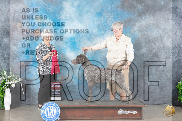 German Shorthaired Pointer #5 Sun G2 Judge Gloria Kerr_JP_2175_Lubbock2023_HR3