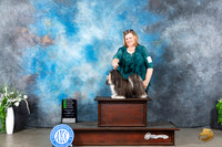 Havanese #12 Sun OHG2 Judge Donna Buxton
