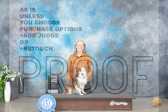 Miniature American Shepherd #17 Sun RA Judge Cathy Caballero_JP_2510_Lubbock2023_HR3