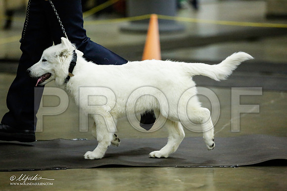 _JJ_6169-BeltonJan2015IABCA-HR3
