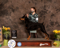 Dobe15FOHG1PSmith