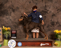 Dobe9FG2Muth