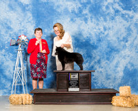 Schipperke #6 Fri BOB Decker Debra Agent Maggie Pryor Judge Cindy Meyer
