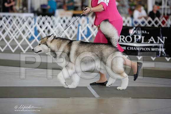 _JJ_4176-DallasJul2014-HR3