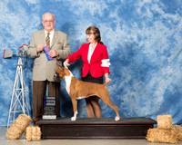 Boxer #12 Sat WB Wilmot Sherry Judge Col Joe B Purkiser