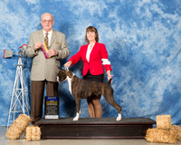 Boxer #14 Sat BOB Wilmot Sherry Keri Paulson Judge Col Joe B Purkiser