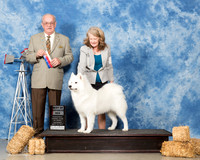 Samoyed #14 Sat BOS WB ONeill Ann E Margaret MacFadden Judge Col Joe B Purkiser