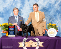Pug #9 Sun BOS WD Yousuf Mohamad M Ingrid Alexdra Martinez Judge Dr. John V Ioia