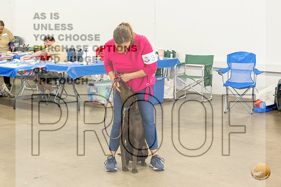 Cathy Cabellero FriJJL_5390_Abilene2021