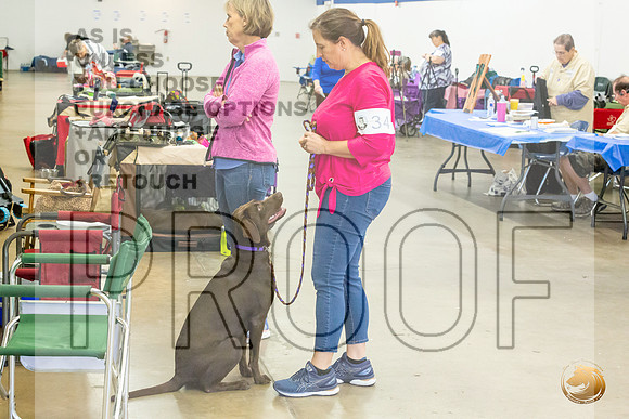 Cathy Cabellero FriJJL_5393_Abilene2021
