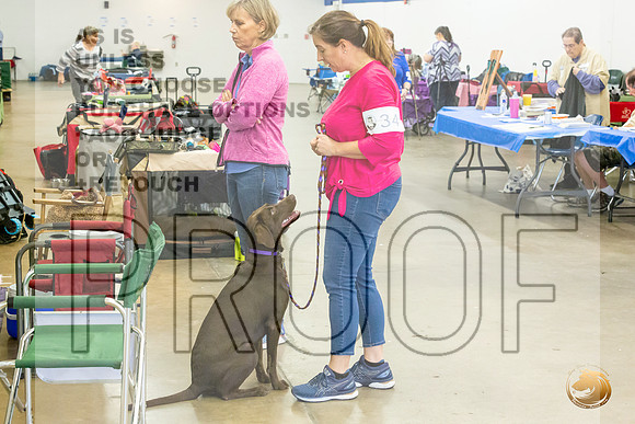 Cathy Cabellero FriJJL_5394_Abilene2021