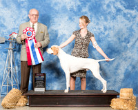 Pointer #5 Sat BIS Mosing Jennifer DJ ONeill B Livingston Col Joe Purkhiser