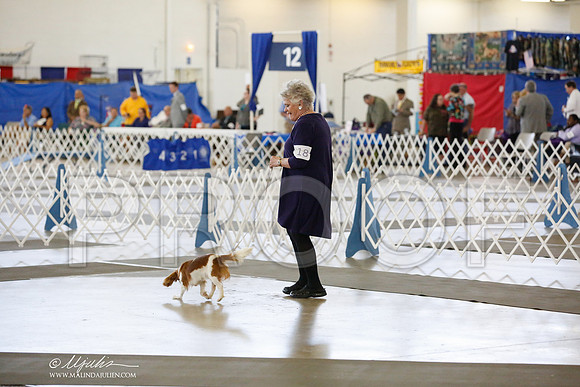 _RH_2407-DallasJul2014-HR3