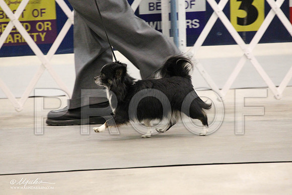 IMG_7575-Abilene2011-HR3