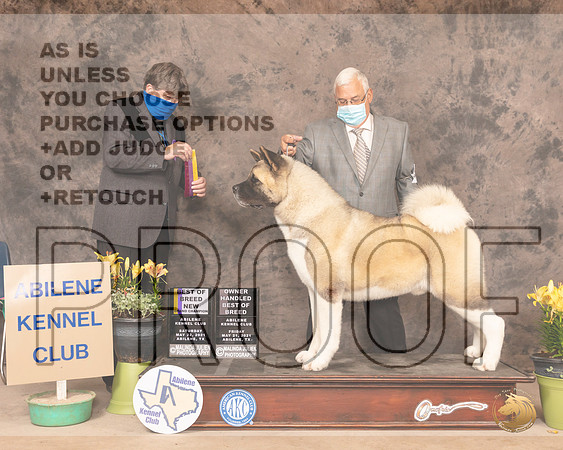 Akita5SBBOlvis0985_AB21