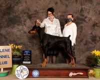 Dobe6SBWOlvis
