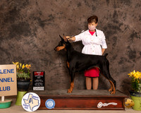 Dobe8SBSOlvis