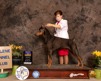 Dobe9SBBOlvis