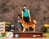 Ice7SBWHedge