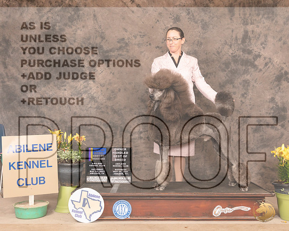 PoodS5SBBHedge0951_AB21