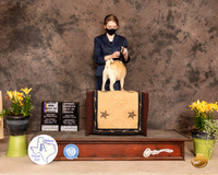 Pug7SBBHurl