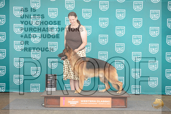 German Shepherd Dog #340 Sat BOB G4 TD Judge Malinda Julien__JP_1726_Longview WA_2024_HR3