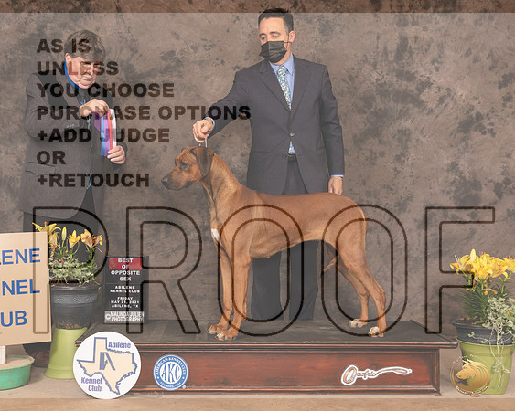 RR10SBSOlvis1096_AB21
