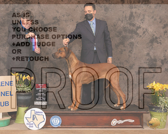 RR10SBSOlvis1099_AB21