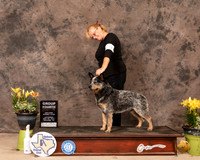 ACD9SG4Hedge