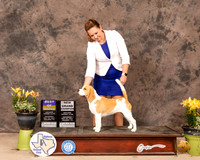 Beag156SBBPSmith