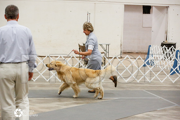 _JN_1235-AblnMay2014-web