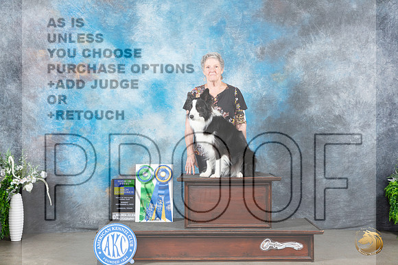 Border Collie #31 Sun HITHC Judge Cathy Caballero_JP_2084_Lubbock2023_HR3