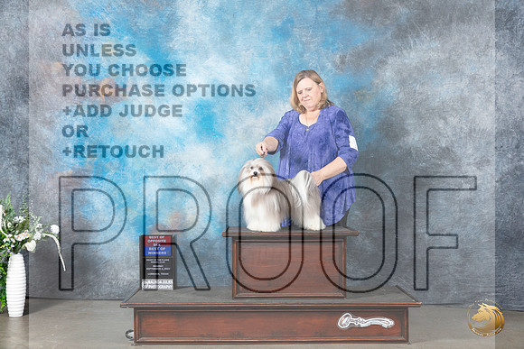 Havanese #5 Mon WDBOWBOS Judge Eugene Blake_JP_2711_Lubbock2023_HR3