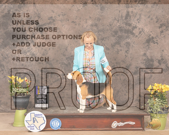 Beag159SnBBRNcne1553_AB21