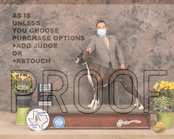Box8SnSBPSmith1517_AB21