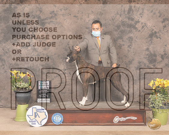 Box8SnSBPSmith1514_AB21