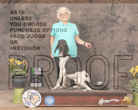 Pood46SnNTitle1587_AB21