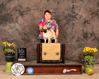 Pug10SBWHedge