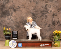 Pumi12SnSBHurle