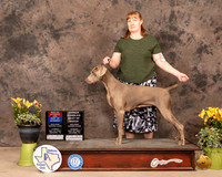 Weim6SnBSMuth