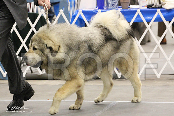 IMG_8689-Abilene2011-HR3