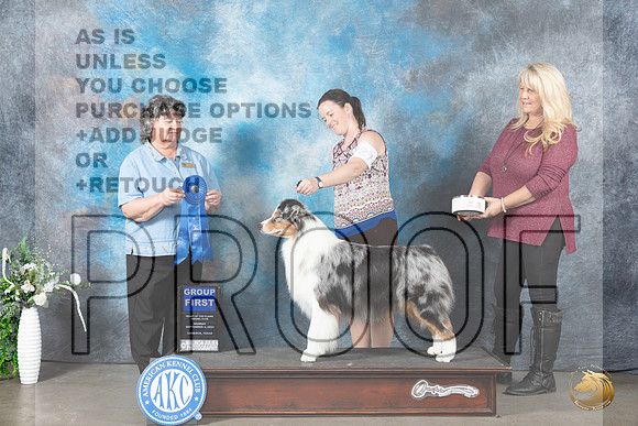 Australian Shepherd #27 Mon G1 Judge Cynthia Hutt_JP_2983_Lubbock2023_HR3