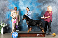 Beauceron #5 Mon OHG1 Judge Eugene Blake