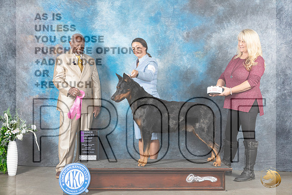 Beauceron #5 Mon OHG1 Judge Eugene Blake_JP_3111_Lubbock2023_HR3