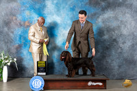 Boyking #5 Mon G3 Judge Eugene Blake